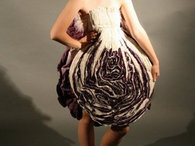 Cabbage_thumb