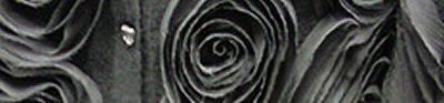 Fabricroses_large