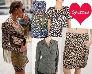 Leopard3_medium