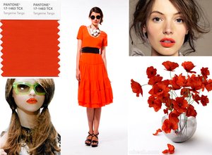 Orangecrushmain_medium