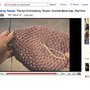 Untitled_thumb