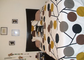 Pictures_from_memory_card_007_show