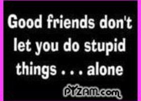 Stupid_show