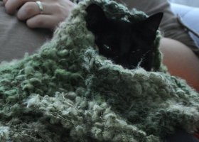 Green_eyes_show