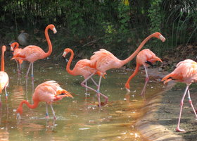 Img_0436_show
