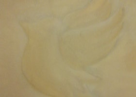 Dscn0125_show