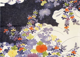 Blackberry_bold_9700_kimono_wallpaper_show