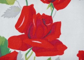 Rose1sm_show