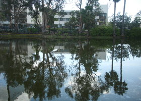 296_show