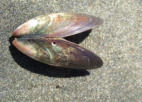 Img_0220_show