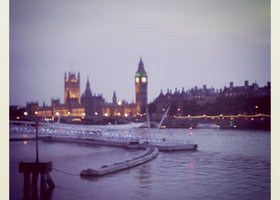 Westminister_show