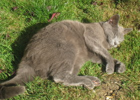 Img_3715_show