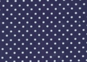 Polka_show