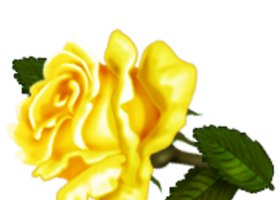 J0436874_show