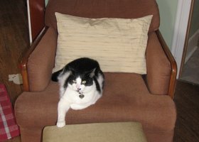 Img_0024_show