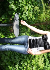 Img_1331_show