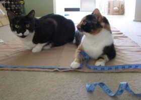 Img_0812_show