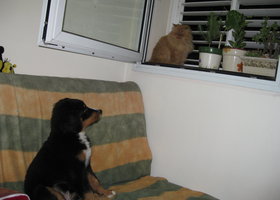 Img_3311_show