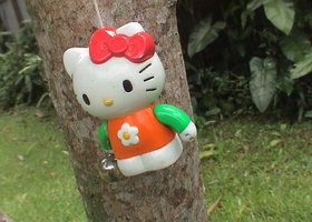 Dsc00026_show