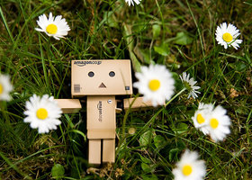 Danbo_picture_2_large_show