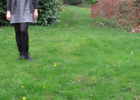 Img_6222_show
