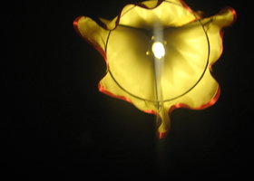 Img_1391_show