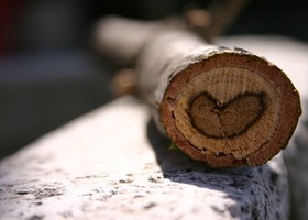 _simply_love__by_marty____show