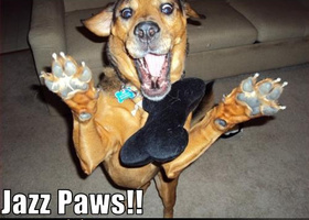 Jazz_paws_show