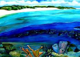 Coral-reef_show