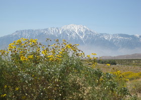 Img_3520_show