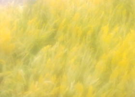 20100824172_show