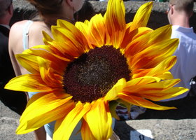 Dsc08349_show