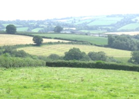 View_show