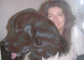 Tasche_hund_017_show