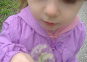 Dscf2174_show