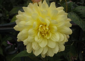 Dscn1923_show