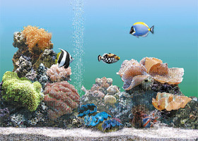 Screenshot_aqua_375x283_show