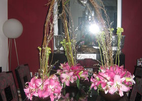 Img_5100_show