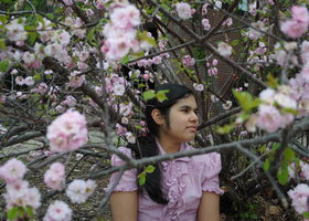 Dsc_0309_show