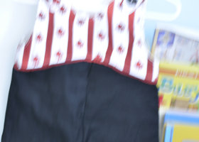 Burda_show