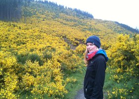 Img_1302_show