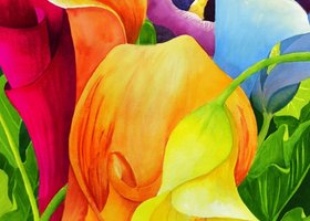 1lily_show
