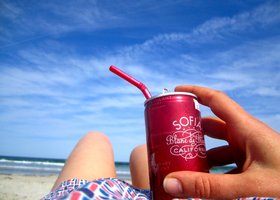 Rose_on_beach_show