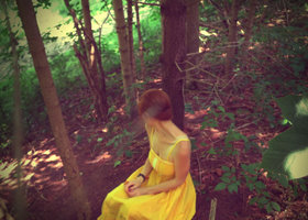 Woods4_show