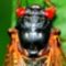 Bc301cfdee4f9f7da7c0428ecacce978a1287117_thumb