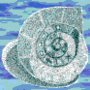 Smallfossilweb_large