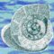 Smallfossilweb_thumb