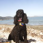 Jasmin_131_large