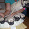 Daisy_thumb