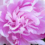 5d5080337a3bb47f694d5f6237d1b8966f9c866c_large